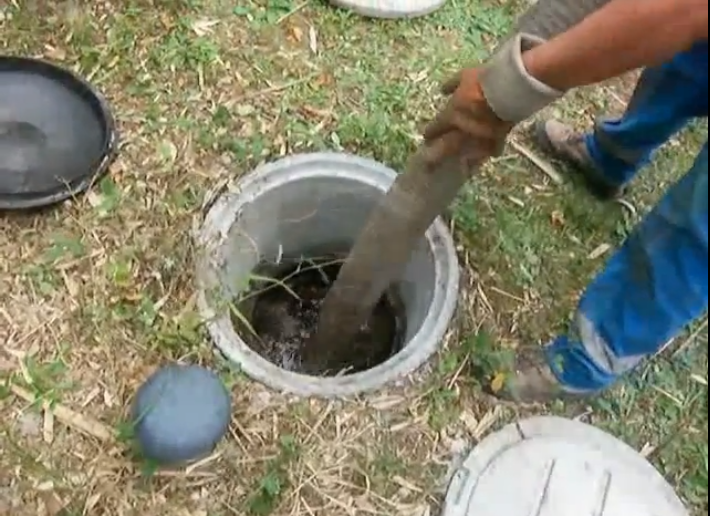 Déboucheur Professionnel - pour fosse septique - 1 L ASSISTANCE