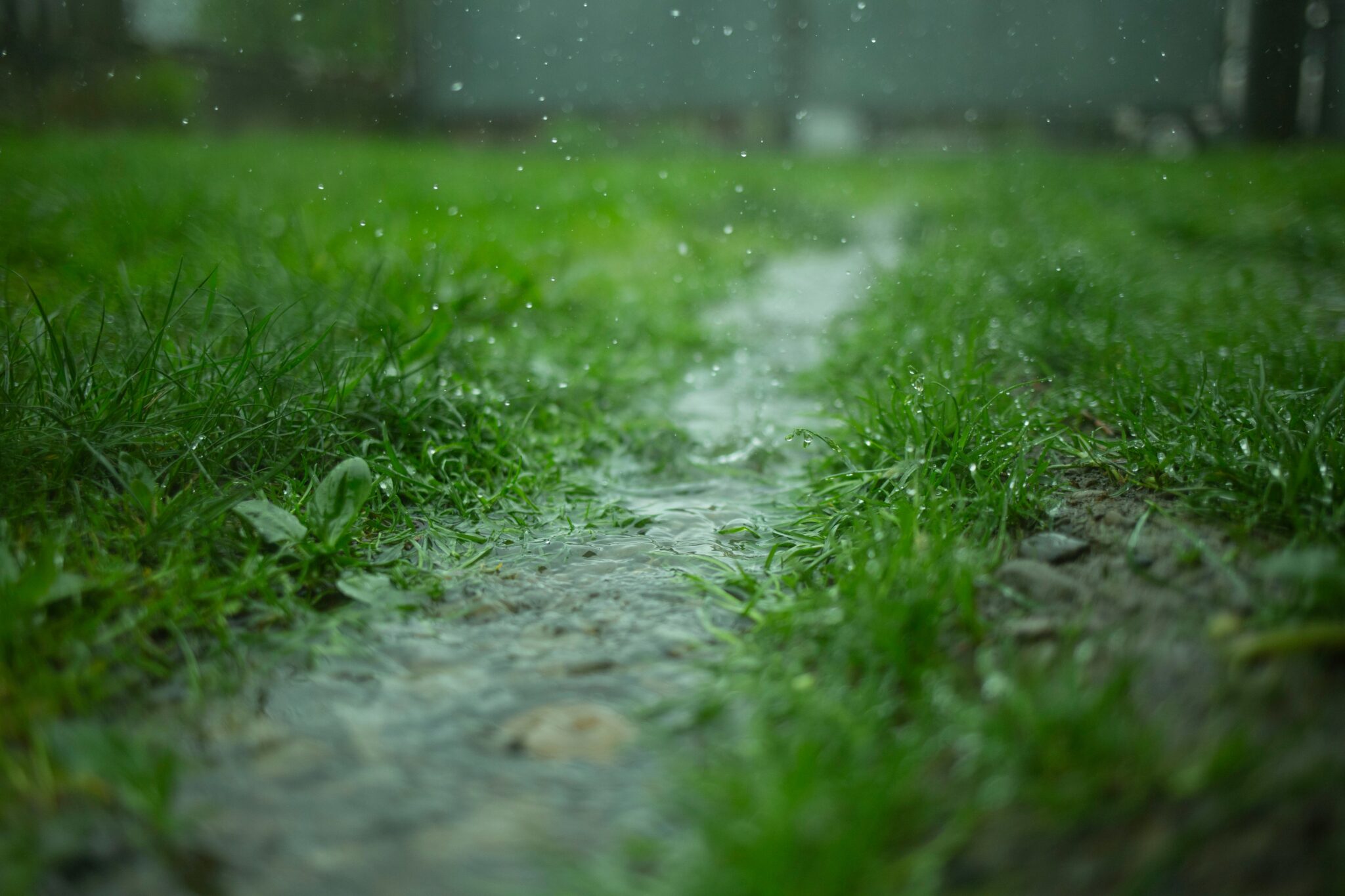 découvrez nos conseils pratiques pour prévenir les problèmes de fosse septique en période de pluie et protéger votre installation contre les débordements et les mauvaises odeurs.