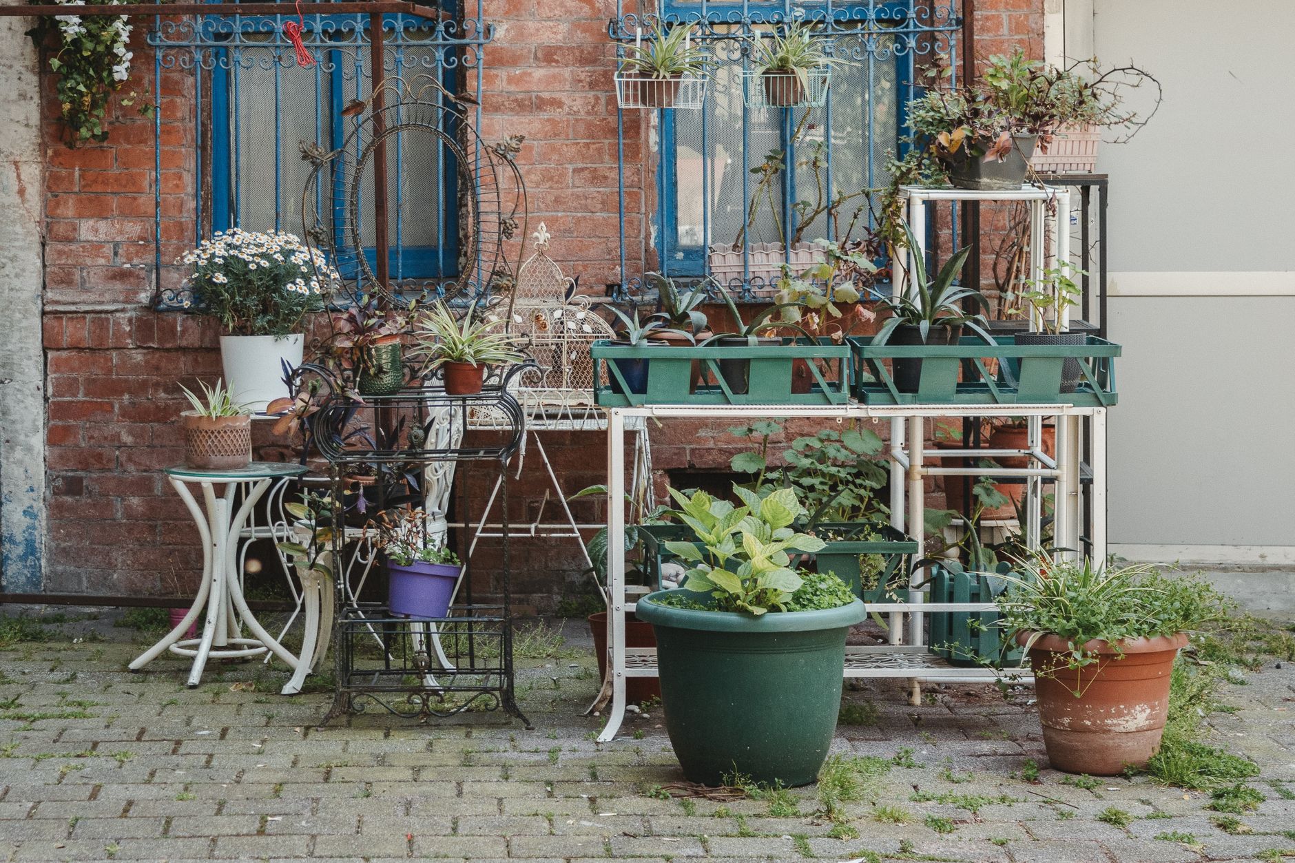 découvrez nos conseils pratiques pour réussir la plantation autour de la fosse. apprenez à choisir les bonnes plantes, optimiser l'espace et assurer un bon drainage pour un jardin esthétique et sain.