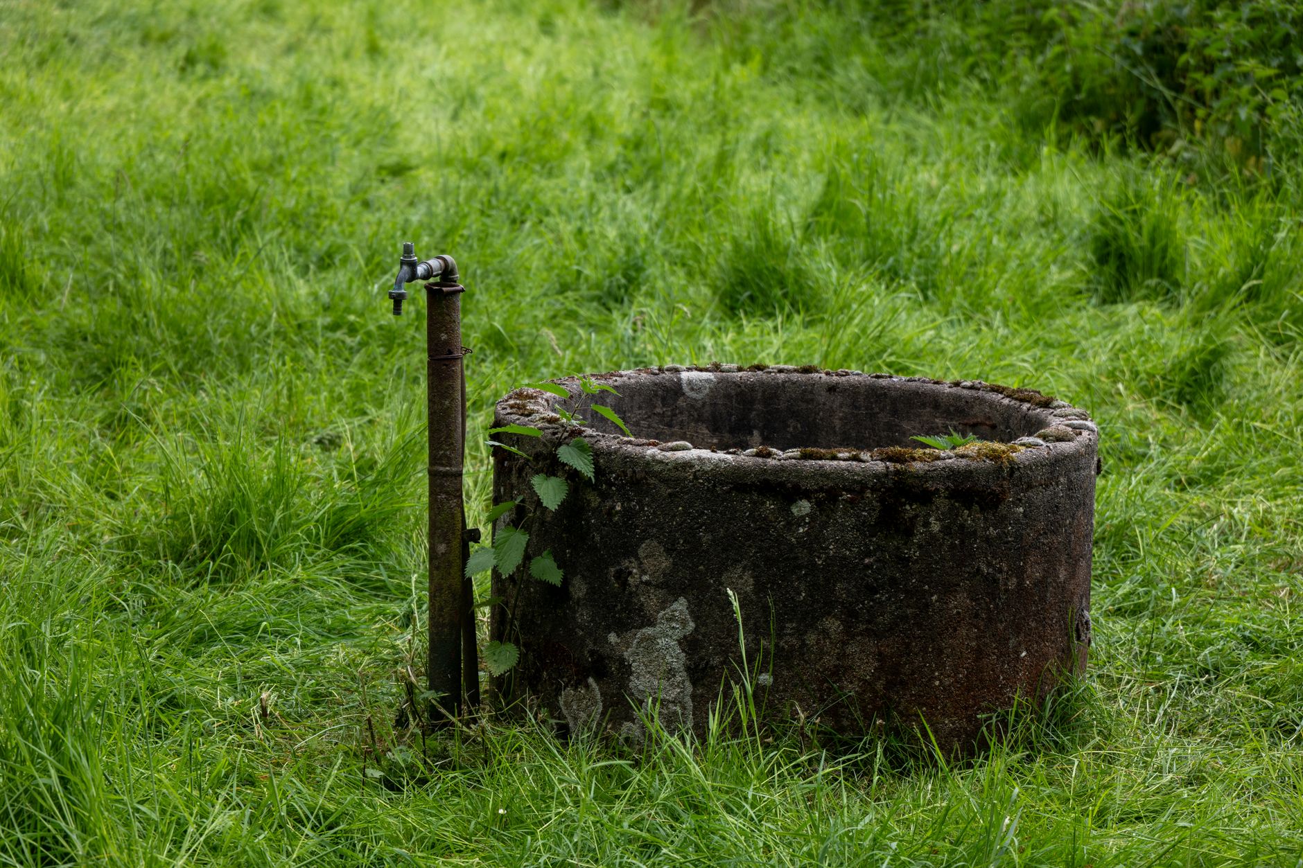 Que faire de votre ancienne fosse septique ?