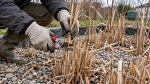 découvrez les différences d’entretien entre une phytoépuration et une fosse septique : fréquence des contrôles, gestes à prévoir et points de vigilance.